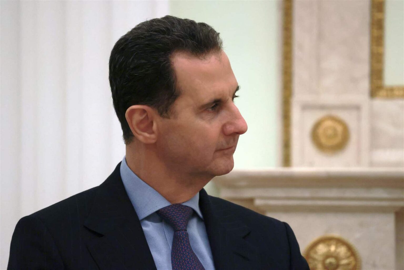 الاسد
