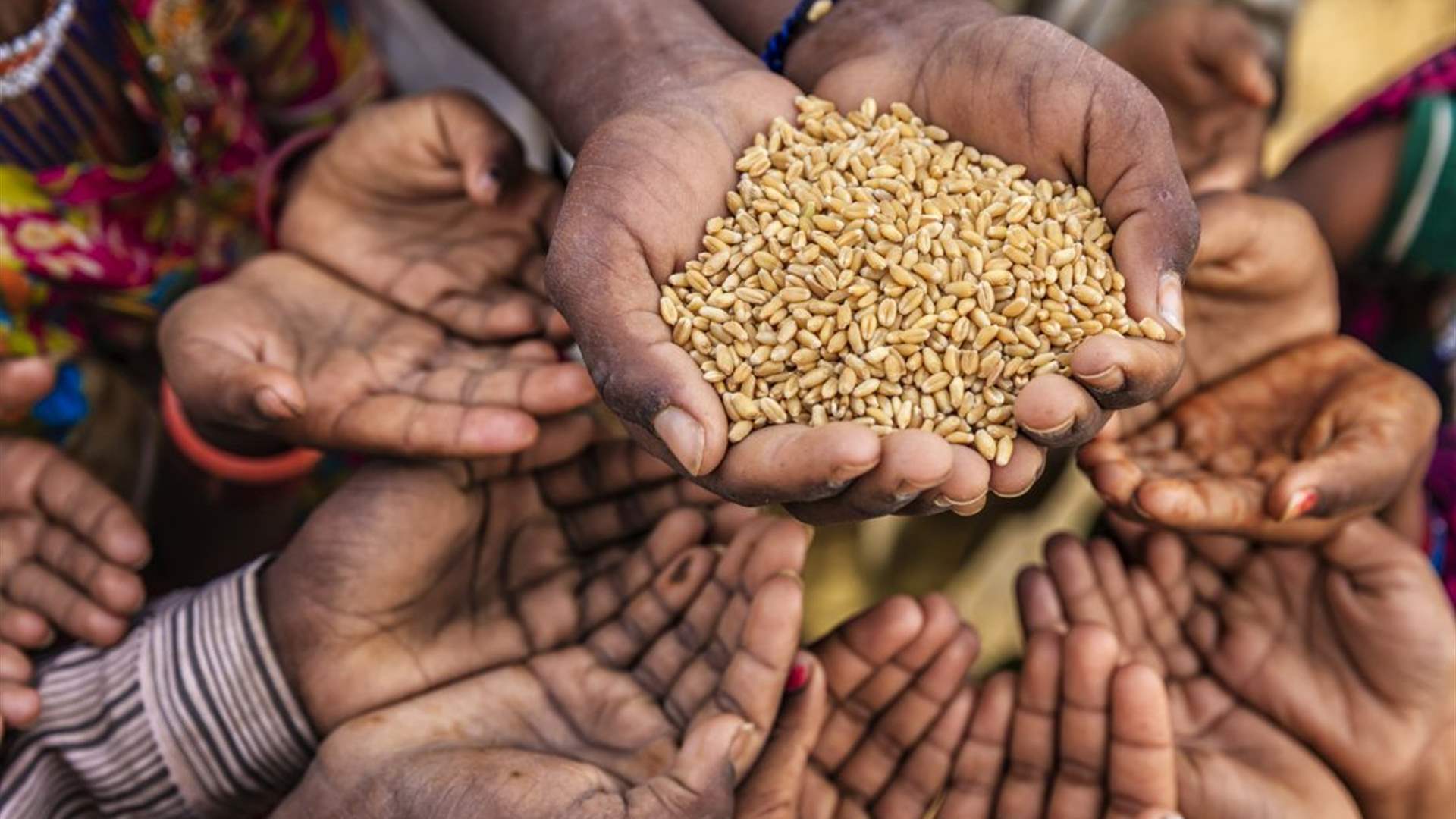 الجوع أخطر من أكبر الأمراض.. لماذا يحتفل العالم بيومه العالمي؟ 3 الجوع أخطر من أكبر الأمراض.. لماذا يحتفل العالم بيومه العالمي؟