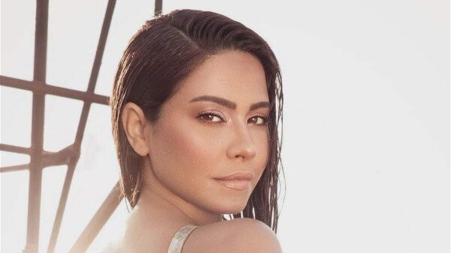 ما حقيقة ارتباط شيرين عبد الوهاب بطليق أنغام؟