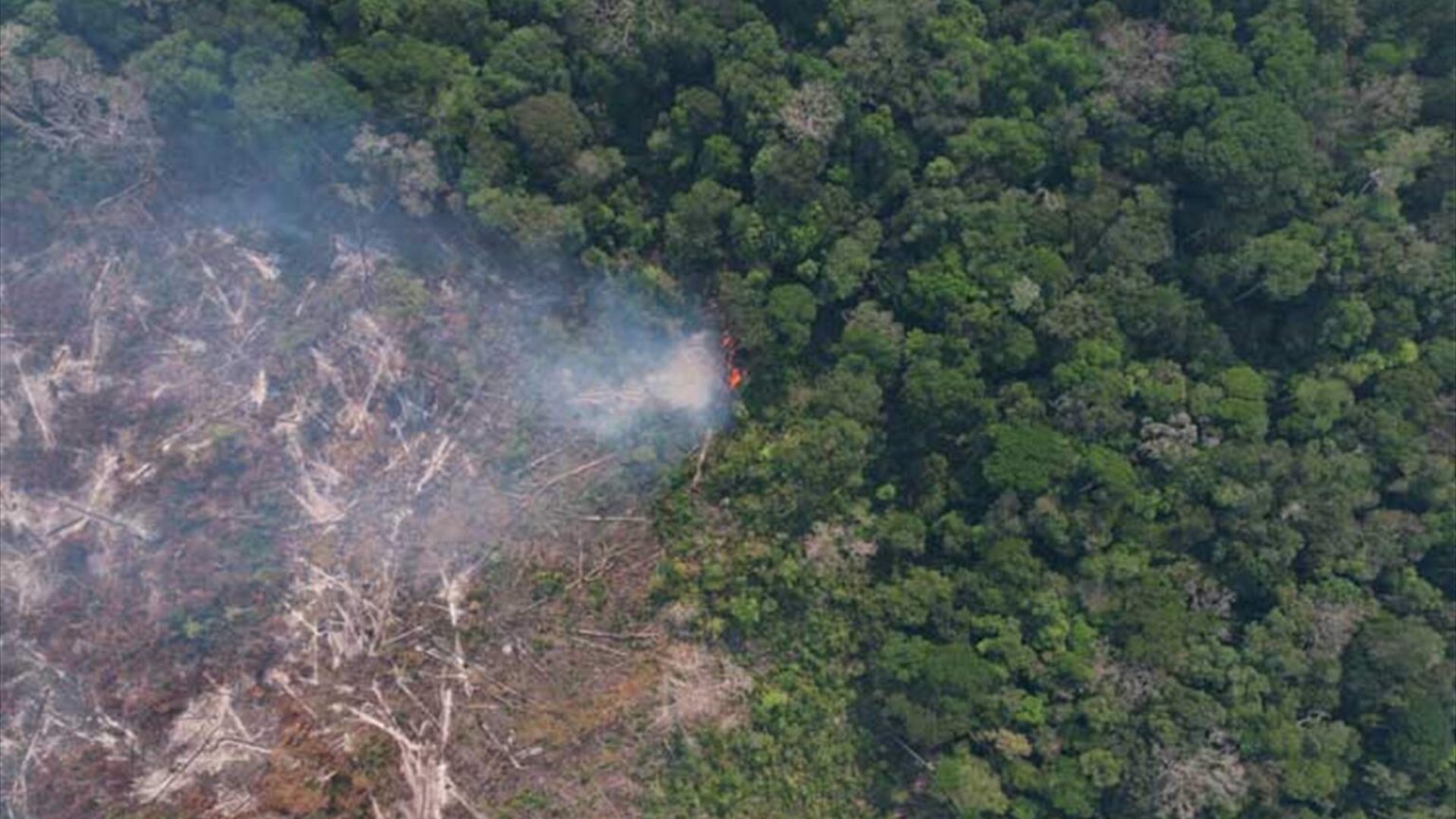 حرائق الغابات مستمرة في البرازيل حرائق الغابات مستمرة في البرازيل