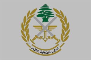 وقوع إصابات جراء إنفجار القنبلة التي سقطت في بلدة الناقورة 3 وقوع إصابات جراء إنفجار القنبلة التي سقطت في بلدة الناقورة