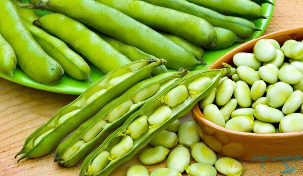 كيف يؤثر تناول الفول الأخضر على الجسم؟