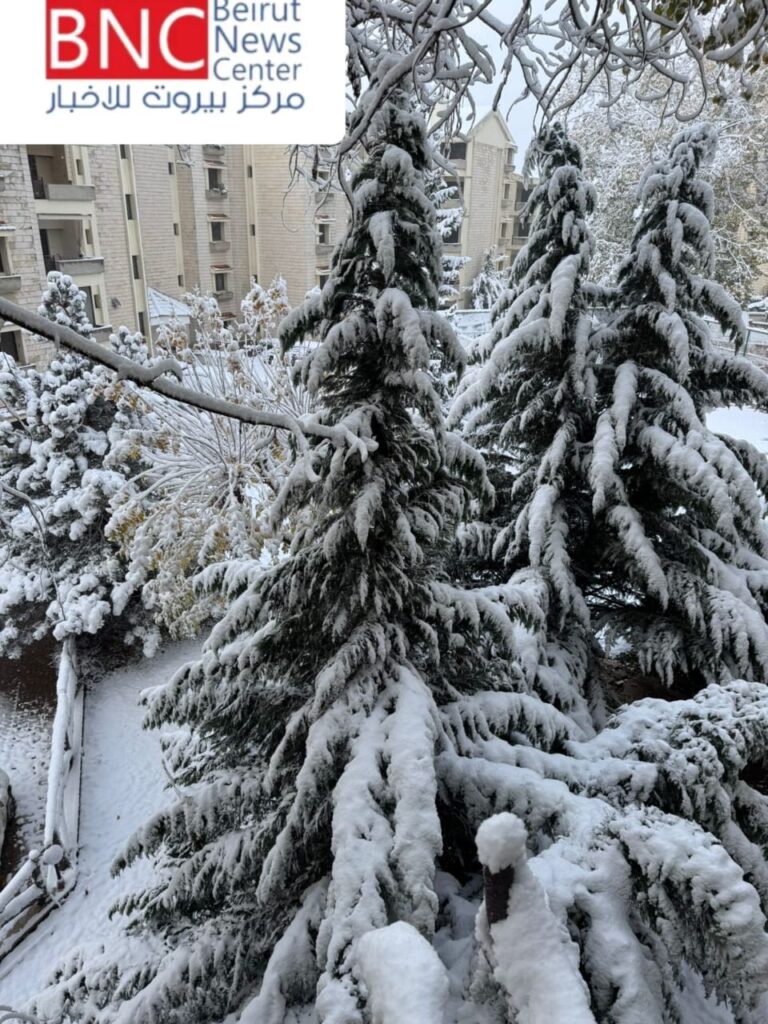 بالفيديو.. تساقط الثلوج على ارتفاع 800 م