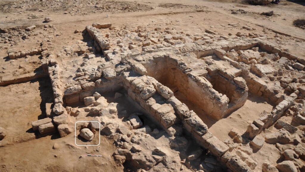 مصر.. العثور على رأس تمثال بطلمي يعود للقرن السابع مصر.. العثور على رأس تمثال بطلمي يعود للقرن السابع