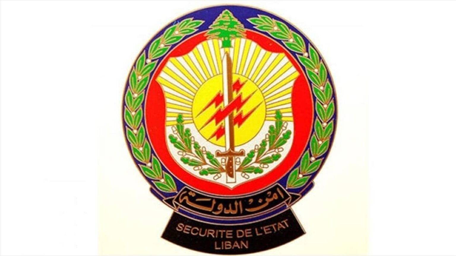 مداهمة لـ "أمن الدولة".. وانجاز في مواجهة تجار تهريب الخضار