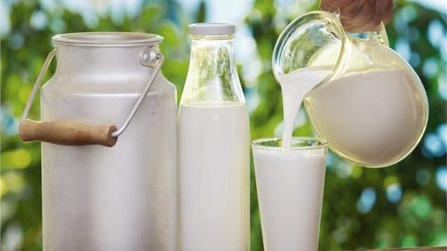 تحديد سعر كيلو الحليب الطازج.. كم بلغ؟