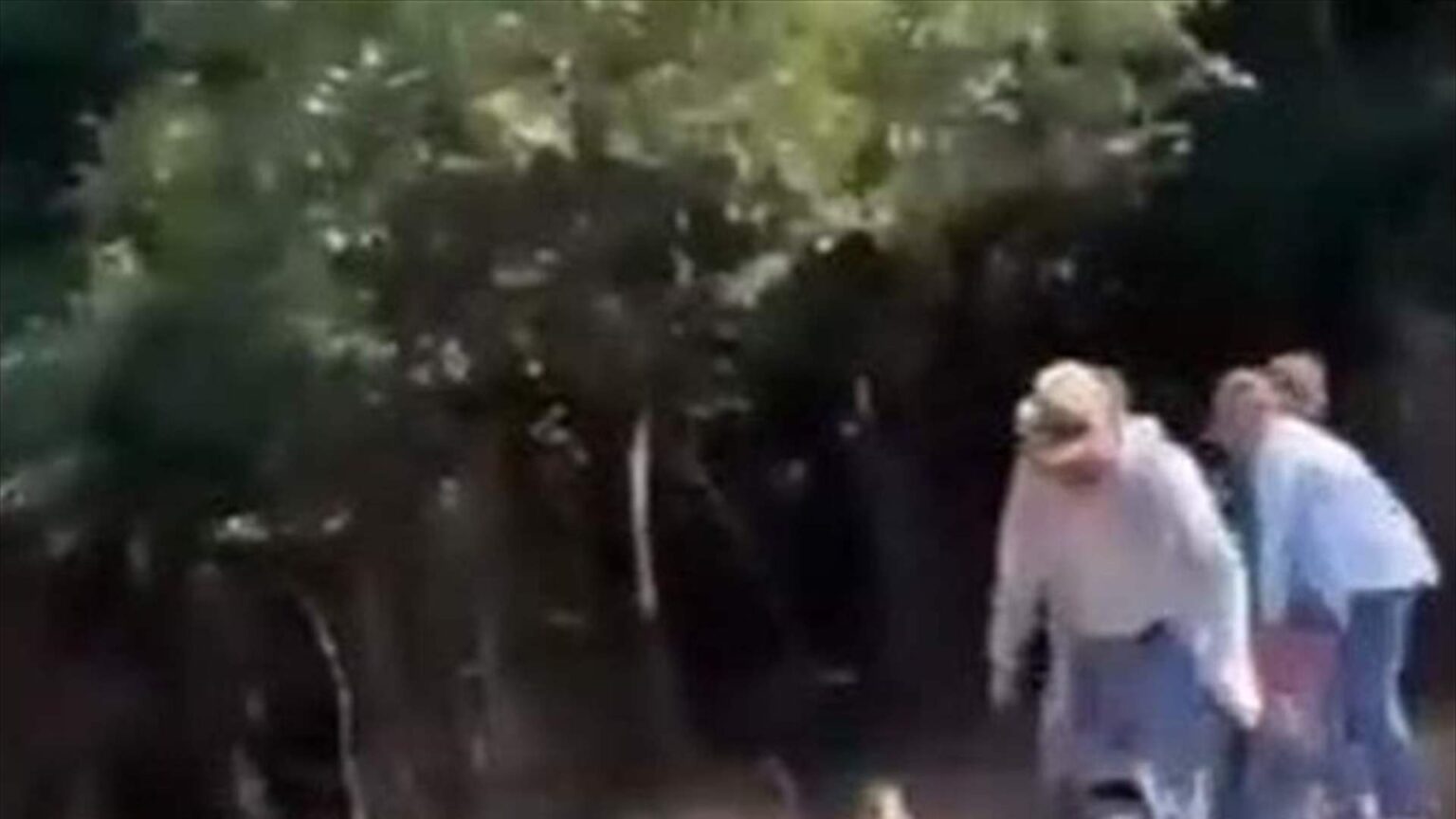 بالفيديو.. لحظات مرعبة بين تمساح و5 أشخاص بالفيديو.. لحظات مرعبة بين تمساح و5 أشخاص