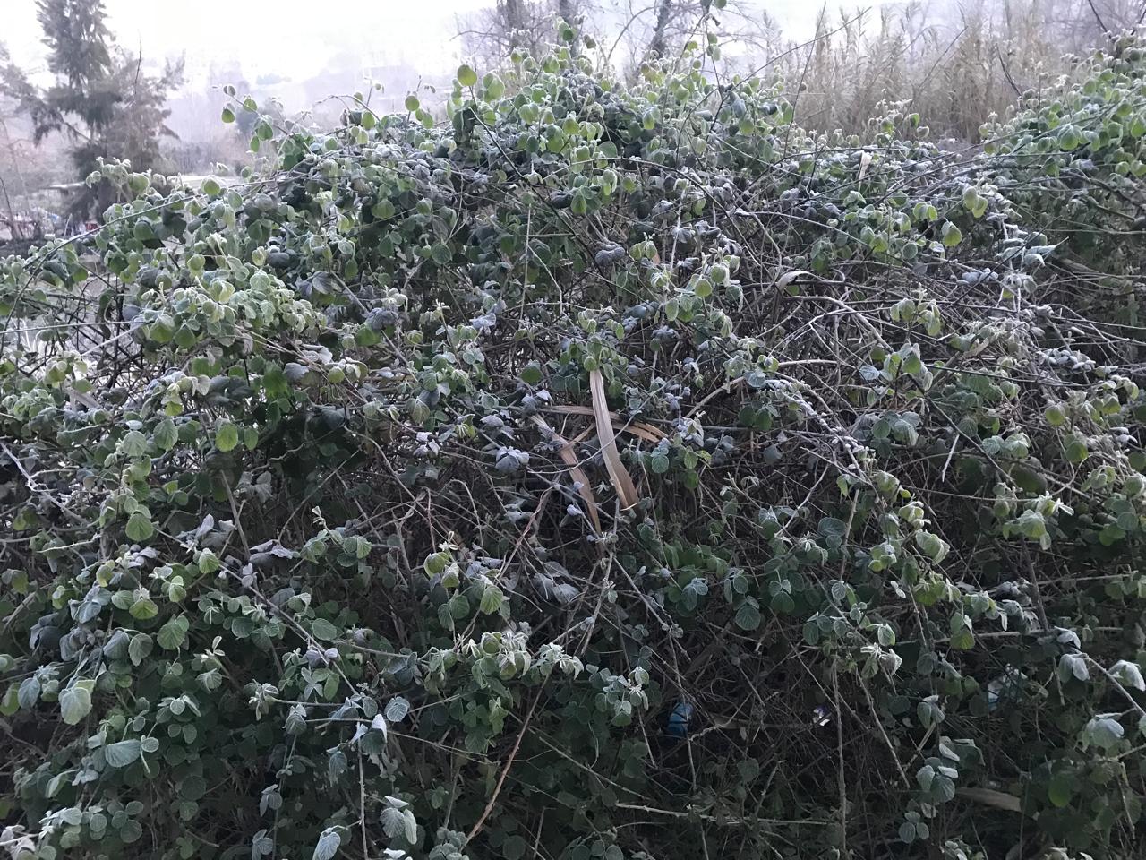 بالفيديو والصور.. طقس مستقر ومنخفض جوي جديد بين الجمعة والسبت 12 بالفيديو والصور.. طقس مستقر ومنخفض جوي جديد بين الجمعة والسبت