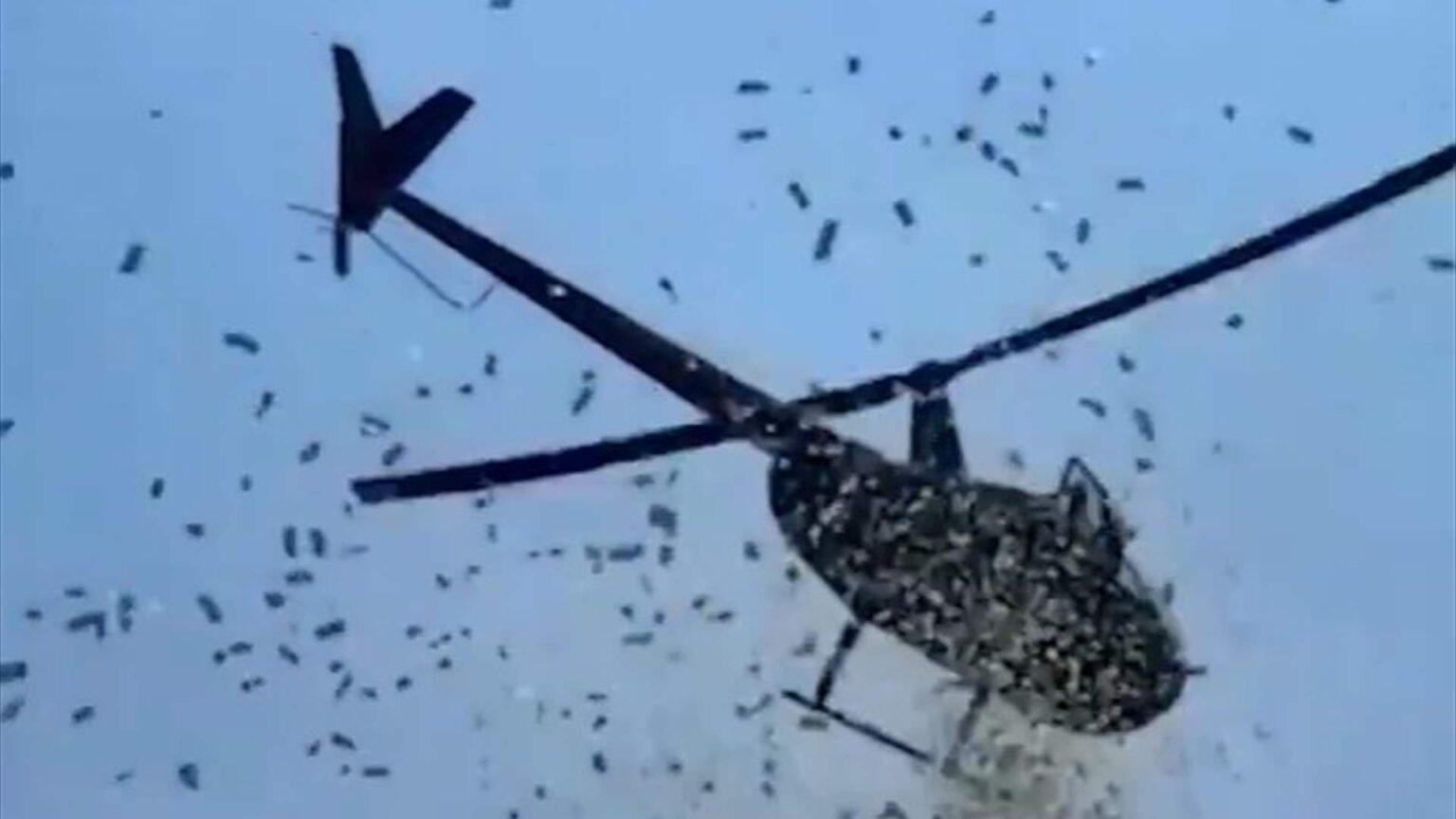 "تمطر أموالاً" تحولت إلى حقيقة فما هي القصة؟!