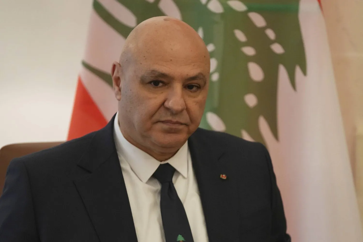 رئيس الجمهورية استقبل لاوندس وشقير 3 رئيس الجمهورية استقبل لاوندس وشقير