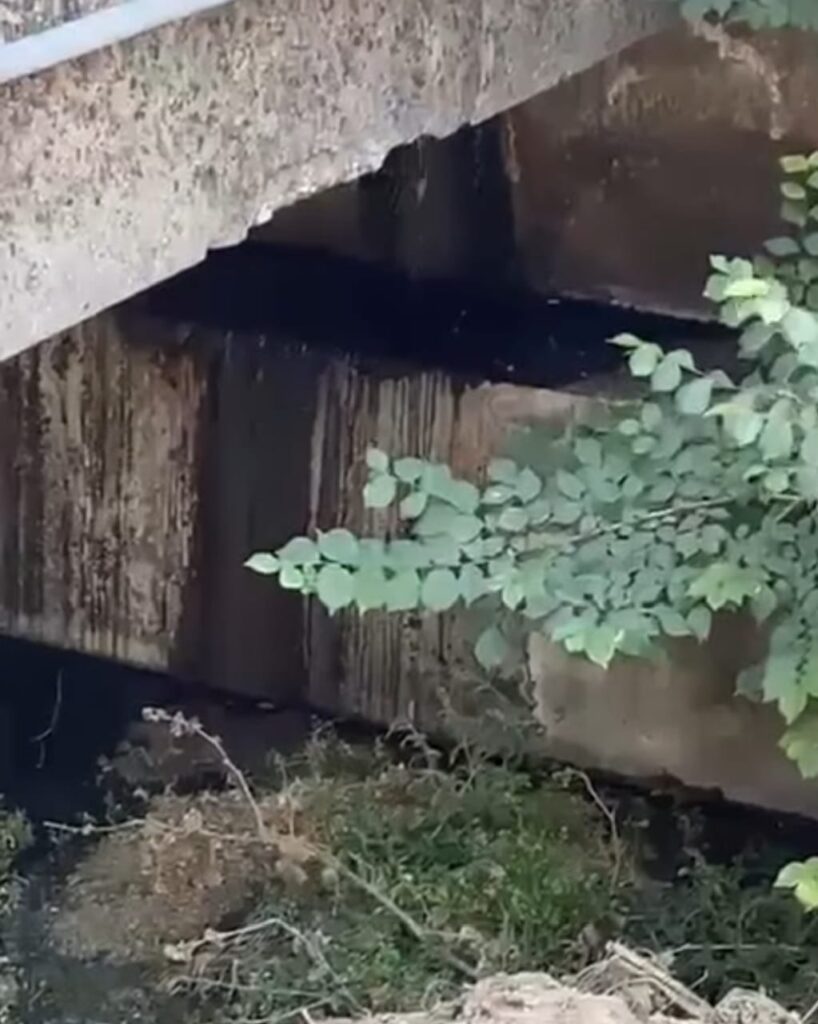 تسرّب مياه آسنة في مجرى نهر البردوني