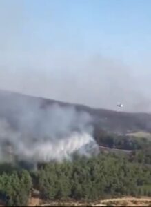 السلطات التركية: السيطرة على حرائق الغابات شمال غربي البلاد 3 السلطات التركية: السيطرة على حرائق الغابات شمال غربي البلاد