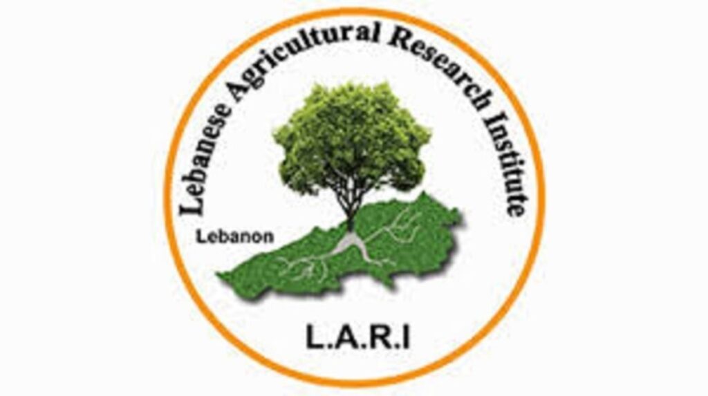 "تغيّر مفاجئ في الأحوال الجوية"... "LARI" تحذّر من تأثيرات الأمطار على الكروم