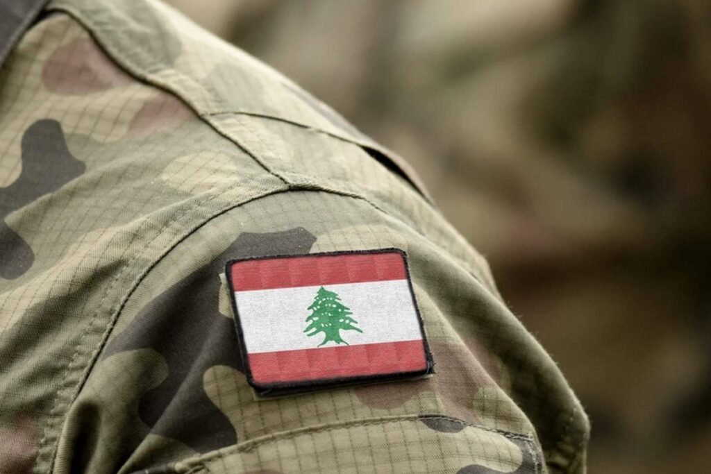 الجيش سيقوم بتفجير ذخائر في مجدلزون ما بين الساعة ١٢ والساعة ١ من ظهر اليوم