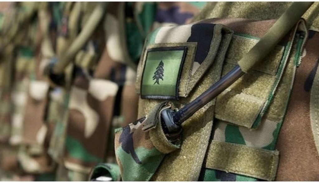 الجيش: تفجير ذخائر في حقل القليعة – مرجعيون