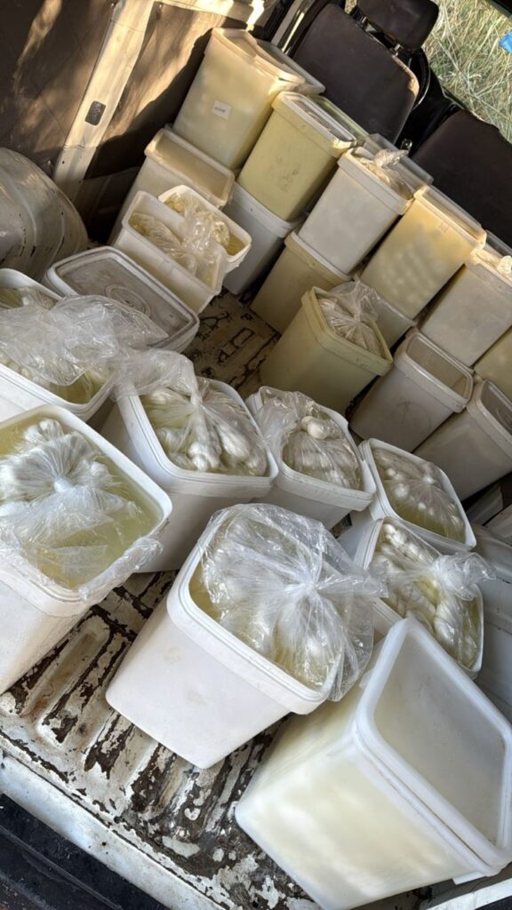 أجبان مهربة والجمارك تتدخل