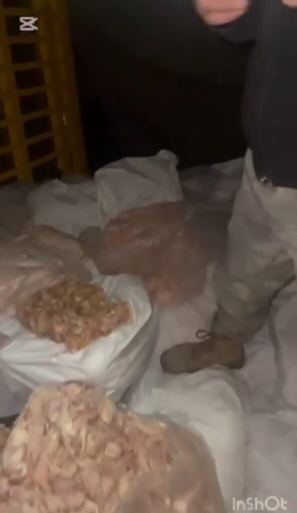 مديرية الجمارك تضبط 3أطنان من الشحوم الفاسدة في بعلبك