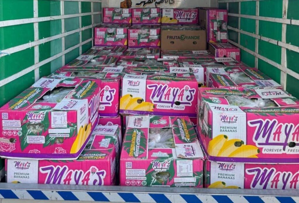 جمارك الشمال تضبط كمية كبيرة من الموز المهرب