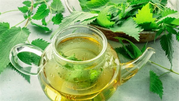 دور الشاي الأخضر في مكافحة السمنة وتحسين التمثيل الغذائي