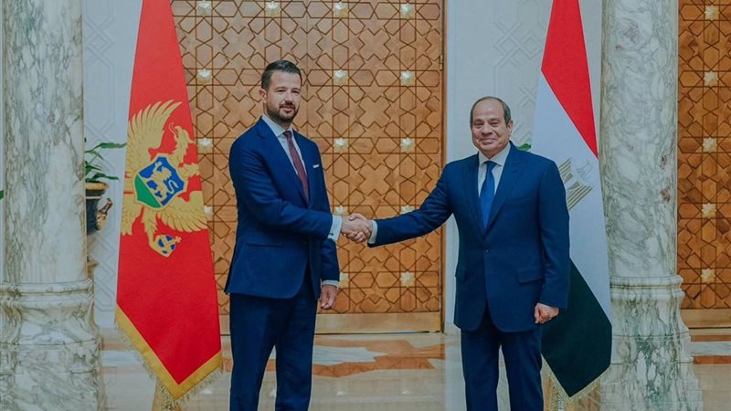 الرئيس السيسي: تطوير العلاقات مع الجبل الأسود