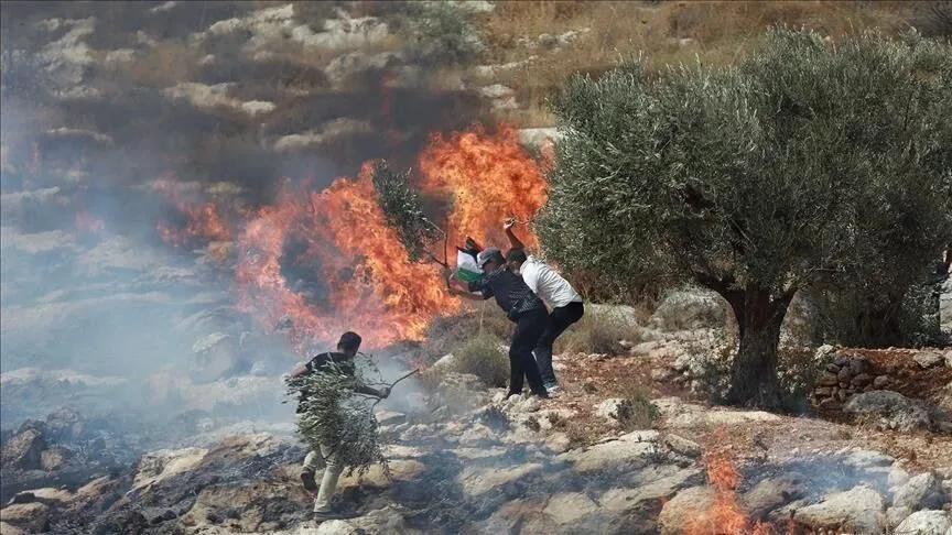 مستوطنون قاموا بإحراق أراض زراعية للفلسطينيين في الضفة الغربية