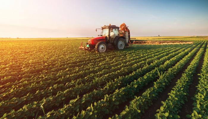 سعر الذرة يسجل أعلى مستوى منذ عام 2023