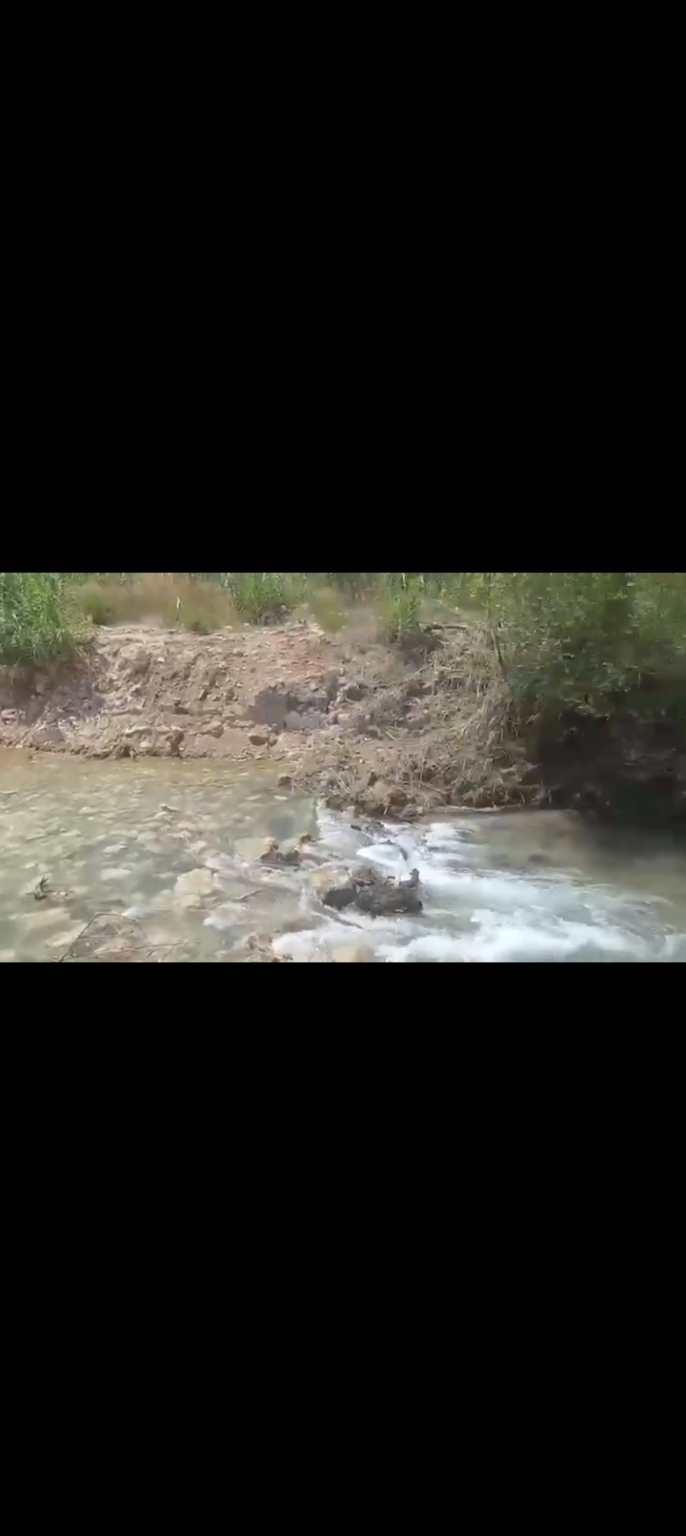 🚨بعد تدمير الجسور في جنوب لبنان... ممر بديل بين النبطية وبنت جبيل