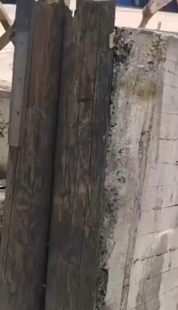 مباشر..مطاردة غير مألوفة.. بقرة تُلاحق مواطنين على طريق الكحالة!*